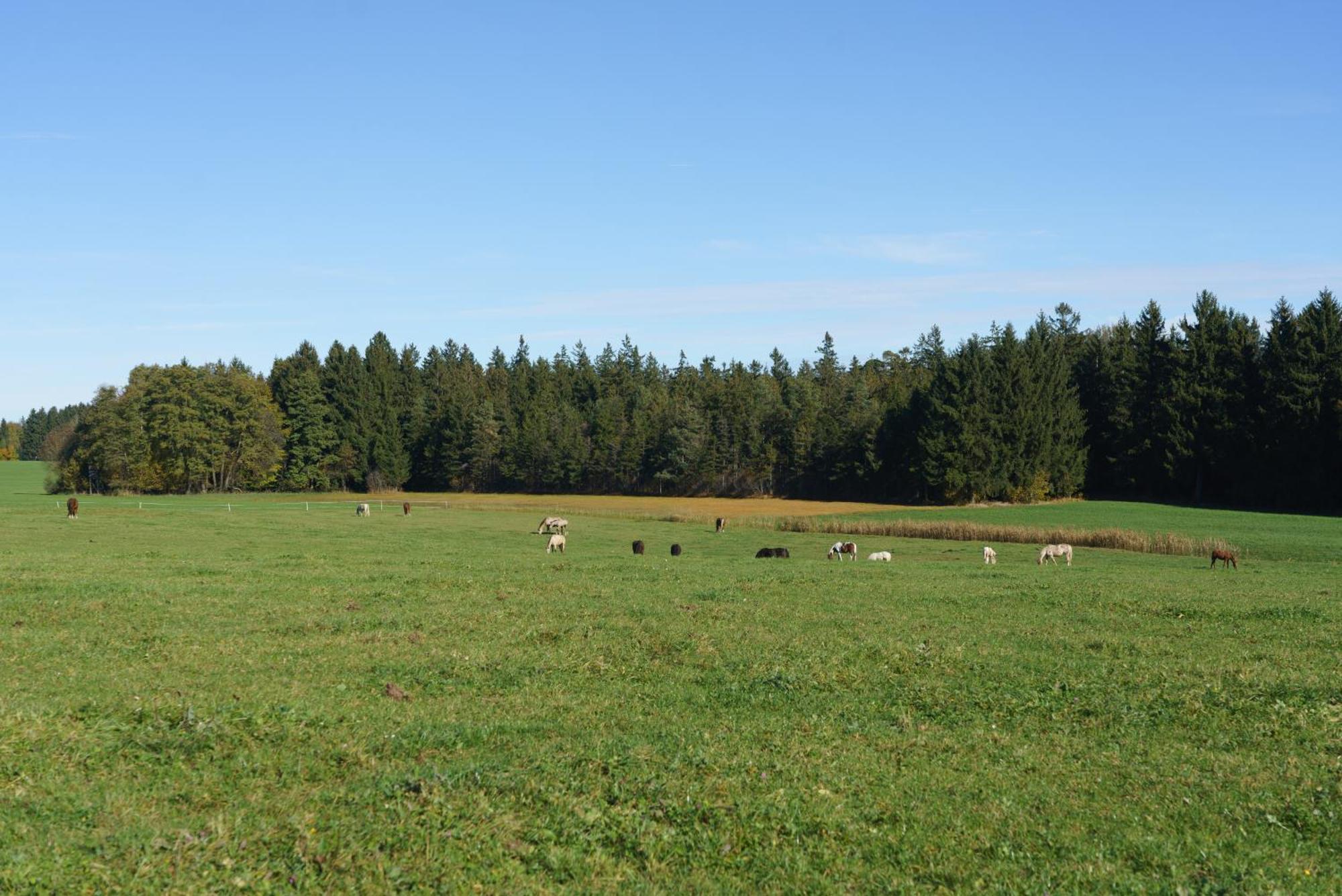 Private Farmhouse Escape - Ideal For Up To 8 Guests Seeham Exteriör bild